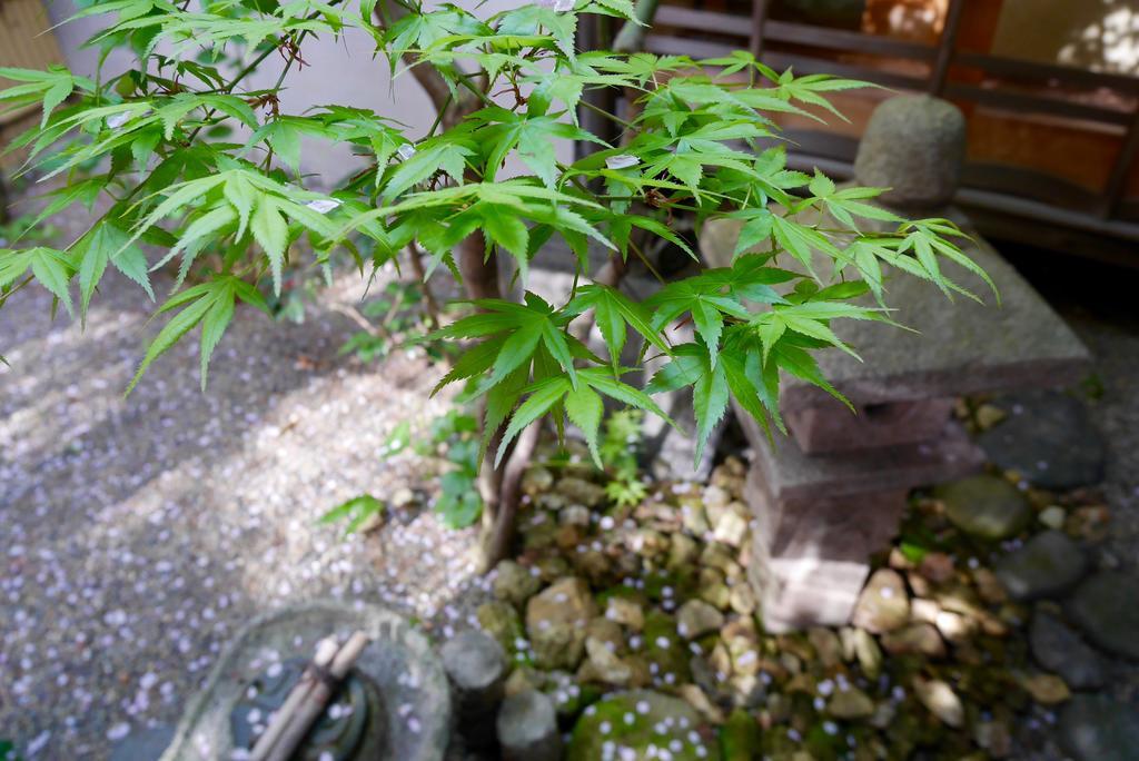 100 Years Old Traditional Kyoto Machiya Townhouse - K'S Villa Ngoại thất bức ảnh